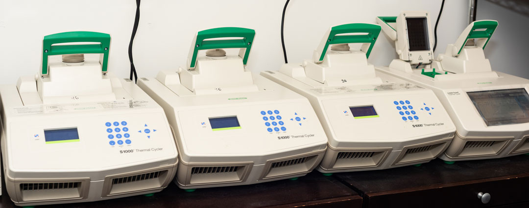 pcr machines
